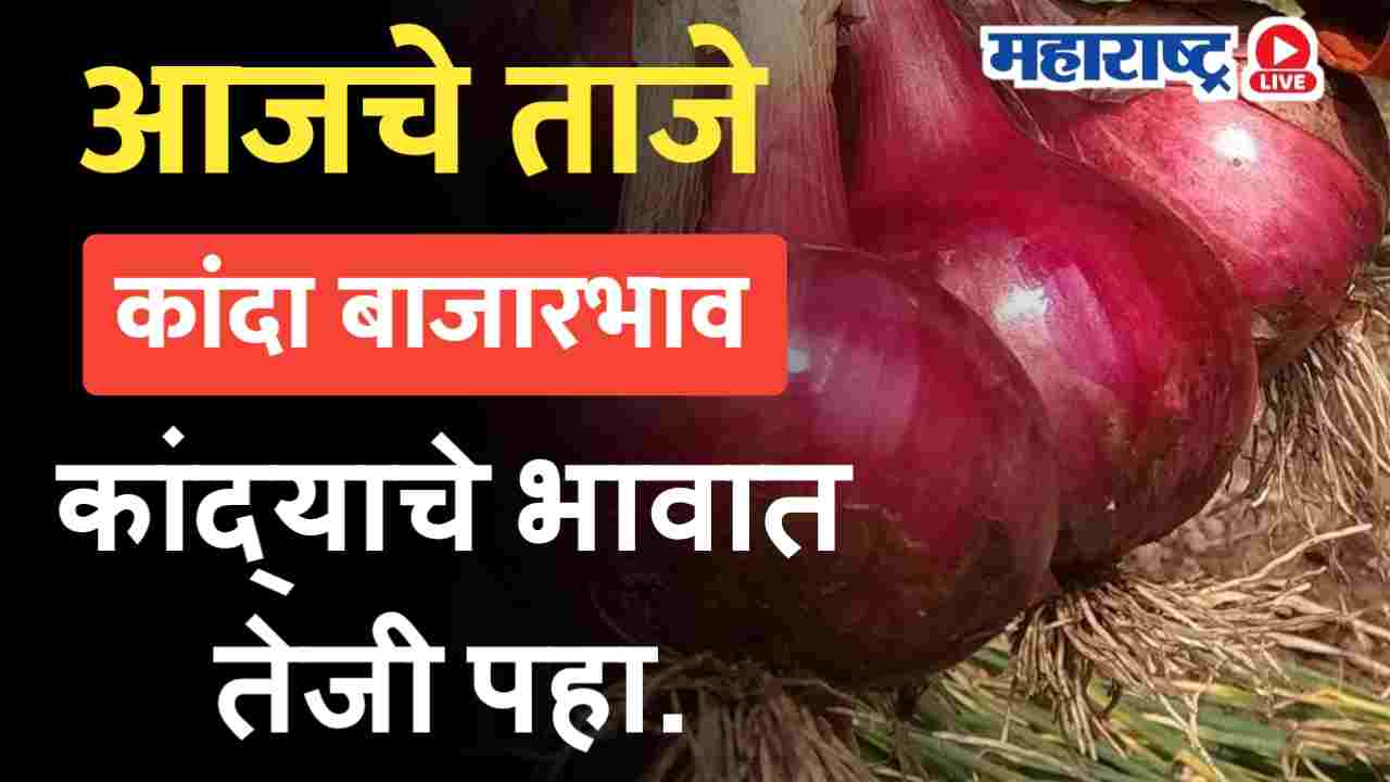 Onion price 04 October